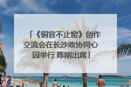 《铜官不止窑》创作交流会在长沙政协同心园举行 陈刚出席
