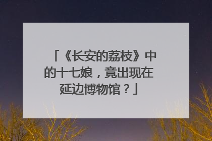 《长安的荔枝》中的十七娘，竟出现在延边博物馆？