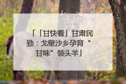 「甘快看」甘肃民勤：戈壁沙乡孕育“甘味”领头羊