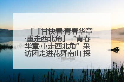 「甘快看·青春华章·重走西北角」“青春华章·重走西北角”采访团走进花舞南山 探寻天水乡村振兴之路