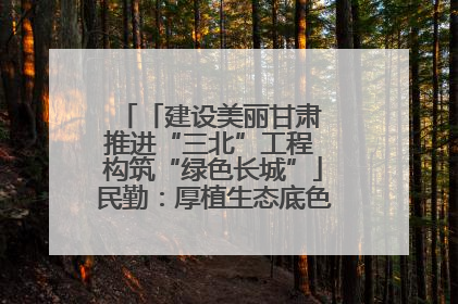 「建设美丽甘肃 推进“三北”工程 构筑“绿色长城”」民勤：厚植生态底色 筑牢绿色屏障