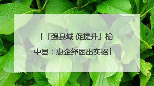 「强县域 促提升」榆中县：惠企纾困出实招