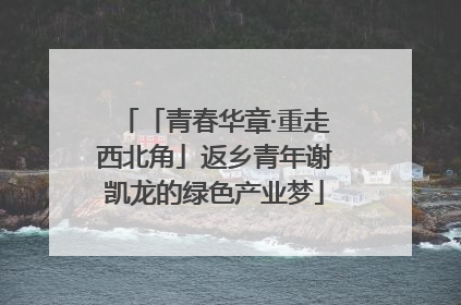 「青春华章·重走西北角」返乡青年谢凯龙的绿色产业梦