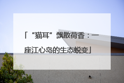 “猫耳”飘散荷香：一座江心岛的生态蜕变