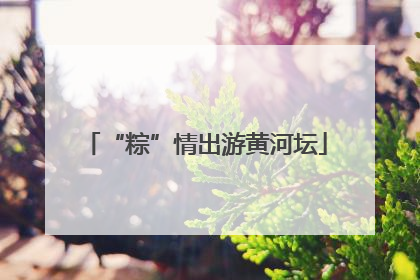 “粽”情出游黄河坛