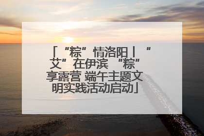 “粽”情洛阳丨“艾”在伊滨 “粽”享露营 端午主题文明实践活动启动