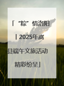 “粽”情洛阳丨2025年嵩县端午文旅活动精彩纷呈