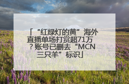 “红绿灯的黄”海外直播单场打赏超71万？账号已删去“MCN三只羊”标识