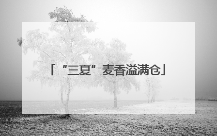 “三夏”麦香溢满仓