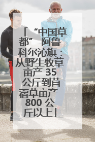 “中国草都” 阿鲁科尔沁旗：从野生牧草亩产 35 公斤到苜蓿草亩产 800 公斤以上
