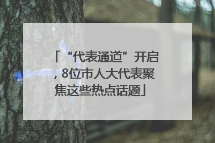 “代表通道”开启，8位市人大代表聚焦这些热点话题