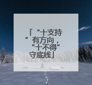 “十支持”有方向，“十不得”守底线