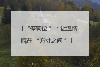 “停狗位 ”：让温情藏在 “方寸之间 ”