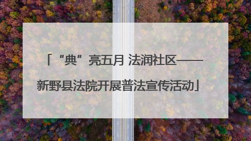 “典”亮五月 法润社区——新野县法院开展普法宣传活动