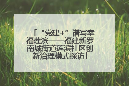 “党建+”谱写幸福莲滨——福建新罗南城街道莲滨社区创新治理模式探访