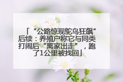 “公路惊现鸵鸟狂飙”后续：养殖户称它与同类打闹后“离家出走”，跑了1公里被找回