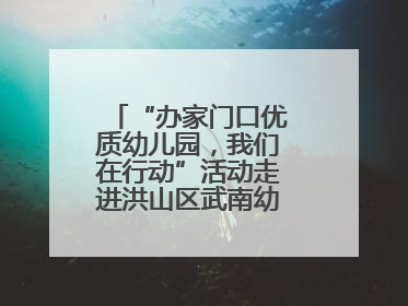 “办家门口优质幼儿园，我们在行动”活动走进洪山区武南幼儿园童趣园