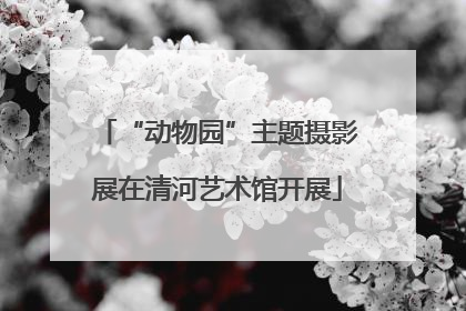 “动物园”主题摄影展在清河艺术馆开展