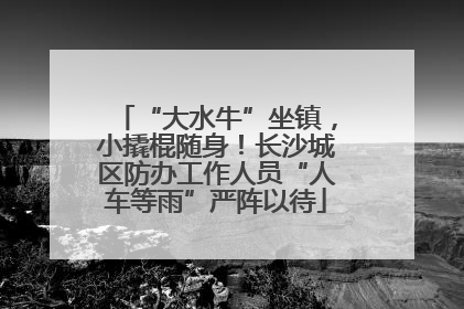 “大水牛”坐镇，小撬棍随身！长沙城区防办工作人员“人车等雨”严阵以待