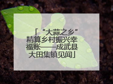 “大蒜之乡”精算乡村振兴幸福账——成武县大田集镇见闻