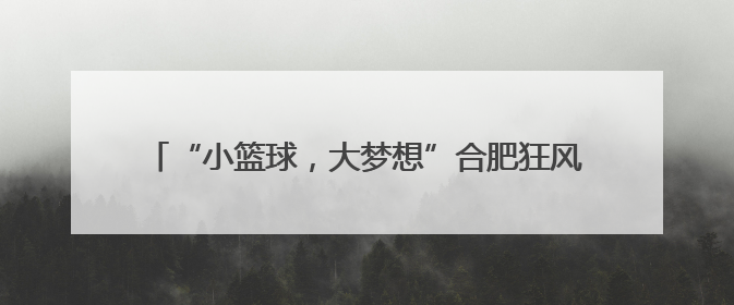 “小篮球，大梦想”合肥狂风公益校园行活动在合肥市第四十二中学南城分校圆满落幕