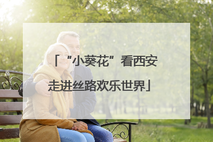 “小葵花”看西安走进丝路欢乐世界