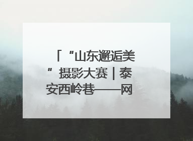 “山东邂逅美”摄影大赛｜泰安西岭巷——网红打卡新地标