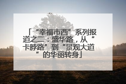 “幸福市西”系列报道之二：盛华路，从“卡脖路”到“景观大道”的华丽转身