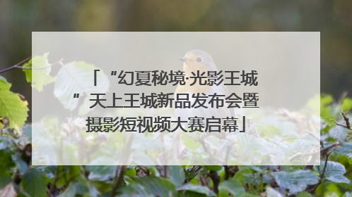 “幻夏秘境·光影王城”天上王城新品发布会暨摄影短视频大赛启幕