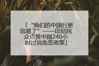 “我们的中国行更容易了”——印尼民众点赞中国240小时过境免签政策