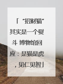 “招财猫”其实是一个熨斗 博物馆回应：是猫是虎，见仁见智