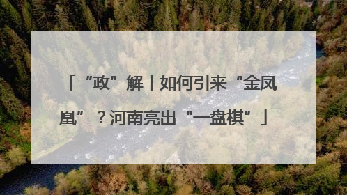 “政”解丨如何引来“金凤凰”？河南亮出“一盘棋”