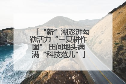 “新”潮澎湃勾勒活力“三夏耕作图” 田间地头满满“科技范儿”