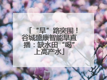 “旱”路突围！谷城盛康智能旱直播：缺水田“喝”上高产水