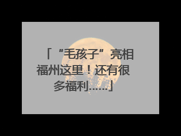 “毛孩子”亮相福州这里！还有很多福利……