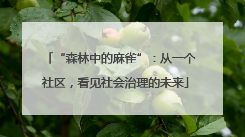 “森林中的麻雀”：从一个社区，看见社会治理的未来