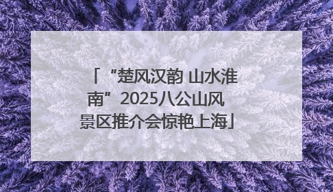 “楚风汉韵 山水淮南”2025八公山风景区推介会惊艳上海