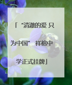 “清澈的爱 只为中国” 祥榕中学正式挂牌