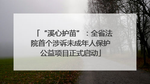 “溪心护苗”：全省法院首个涉诉未成年人保护公益项目正式启动
