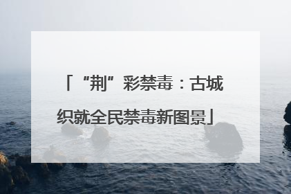 “荆”彩禁毒：古城织就全民禁毒新图景