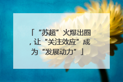 “苏超”火爆出圈，让“关注效应”成为“发展动力”