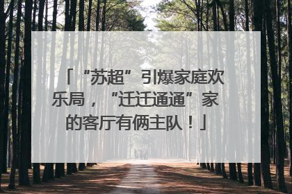 “苏超”引爆家庭欢乐局，“迁迁通通”家的客厅有俩主队！