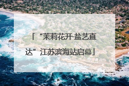 “茉莉花开·盐艺直达”江苏滨海站启幕