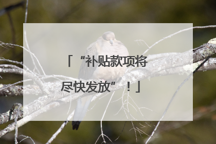 “补贴款项将尽快发放”！