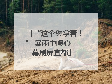“这伞您拿着！” 暴雨中暖心一幕刷屏宜都