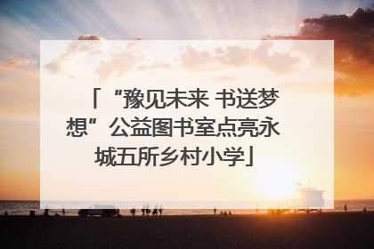 “豫见未来 书送梦想”公益图书室点亮永城五所乡村小学