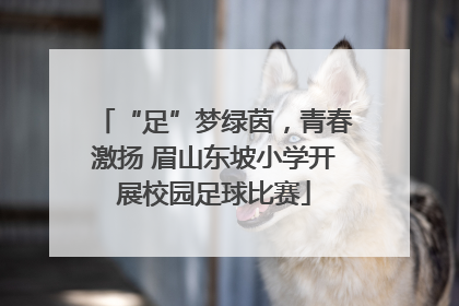 “足”梦绿茵，青春激扬 眉山东坡小学开展校园足球比赛