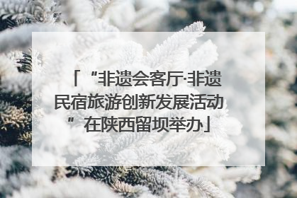 “非遗会客厅·非遗民宿旅游创新发展活动”在陕西留坝举办