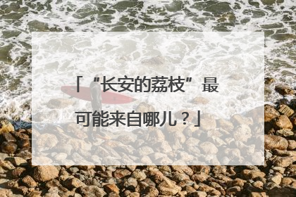 “长安的荔枝”最可能来自哪儿？