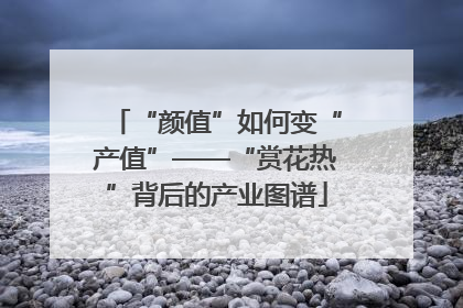 “颜值”如何变“产值”——“赏花热”背后的产业图谱